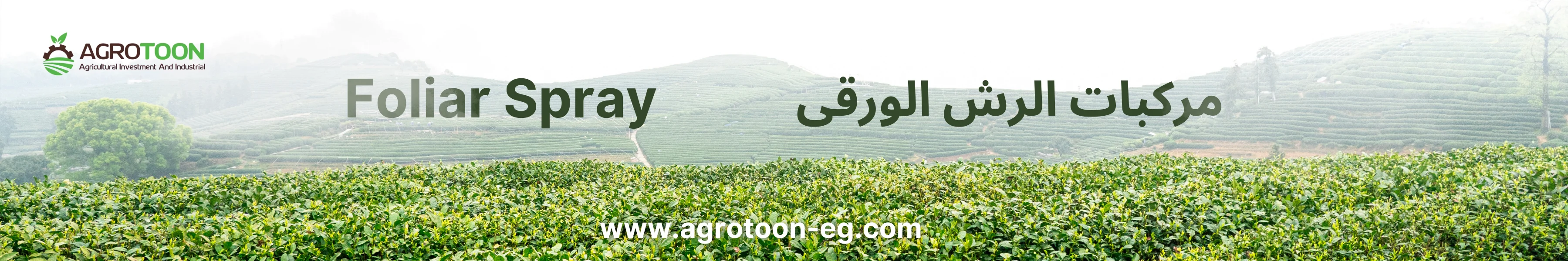 مركبات الرش الورقى